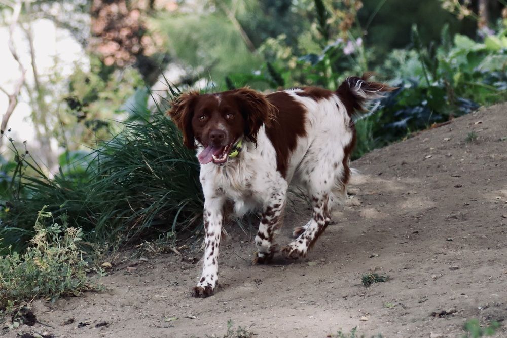 Photograph by Lucas Chagas