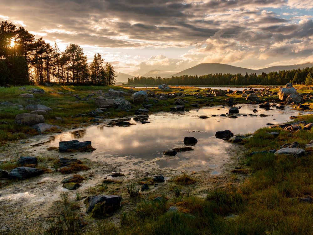 Photograph by Anna Levina