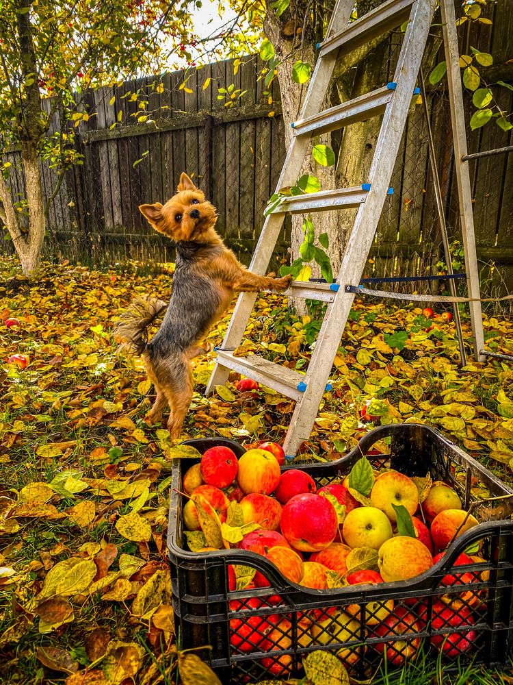 Фотография автора RENAT ABDULBYAROV