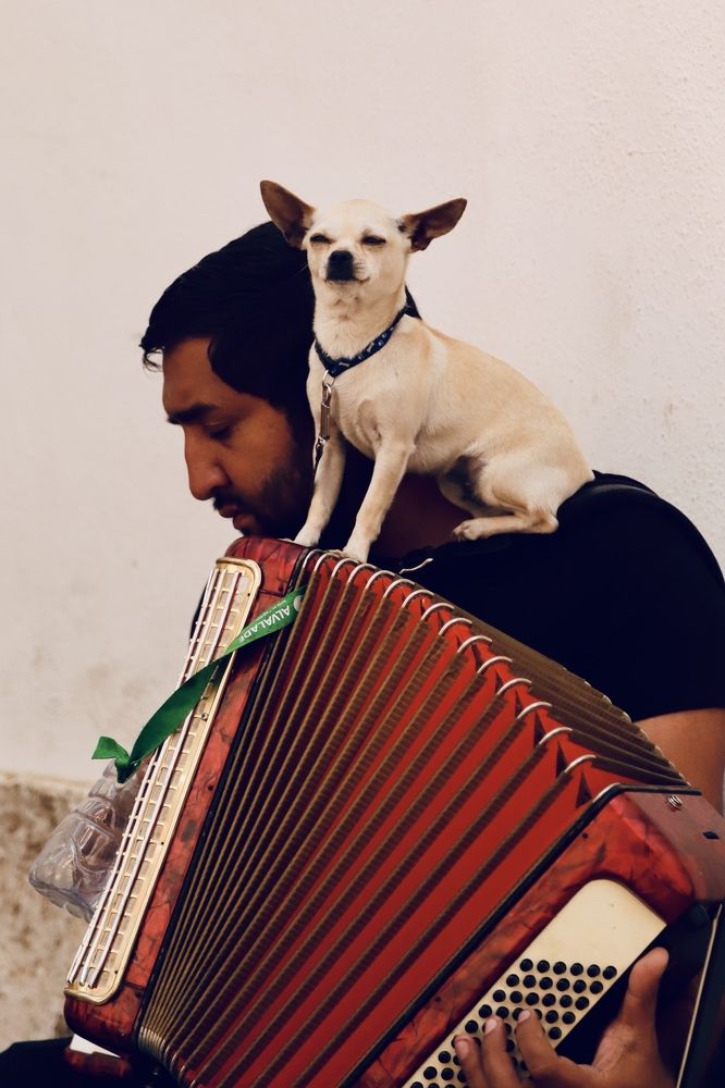 Photograph by Lucas Chagas