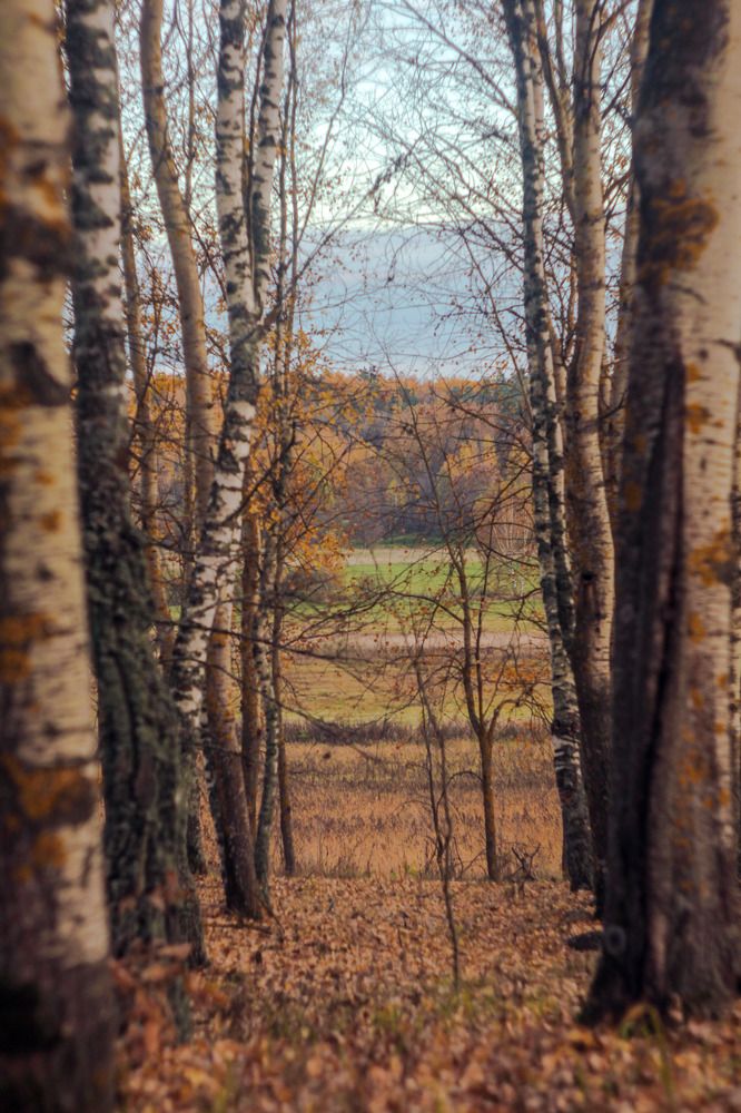 Photograph by Иван