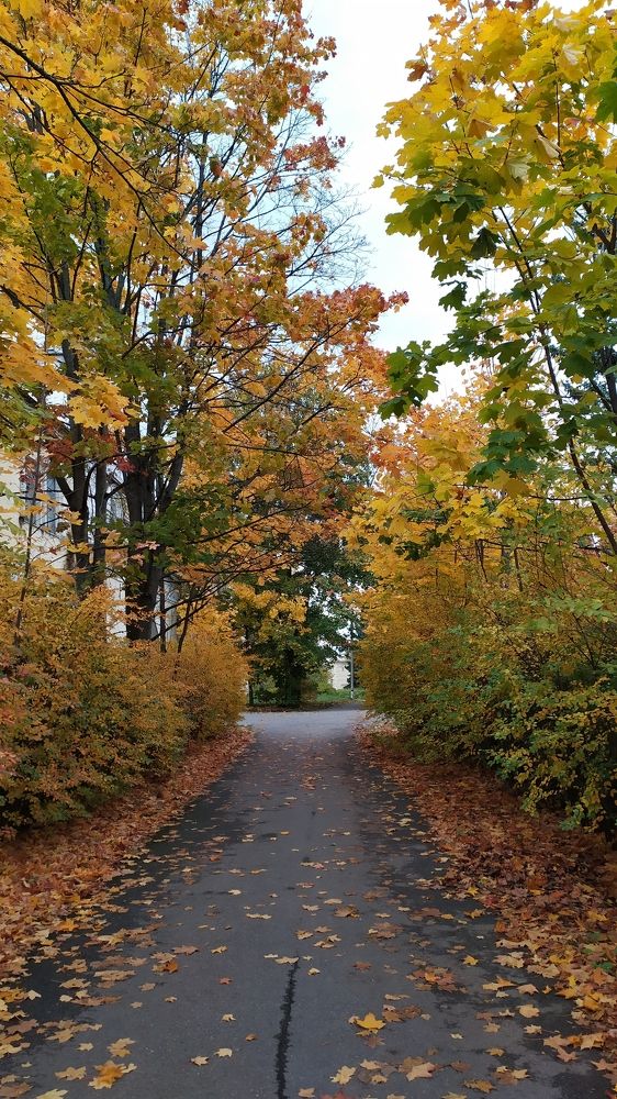 Осень в переулке.