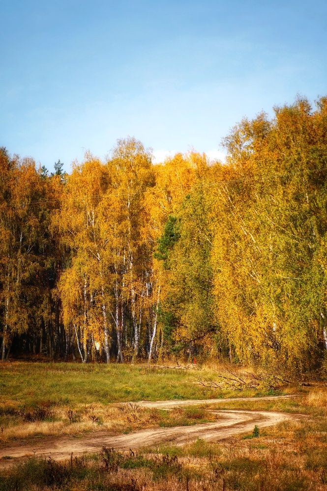 Photograph by Андрей Казаков