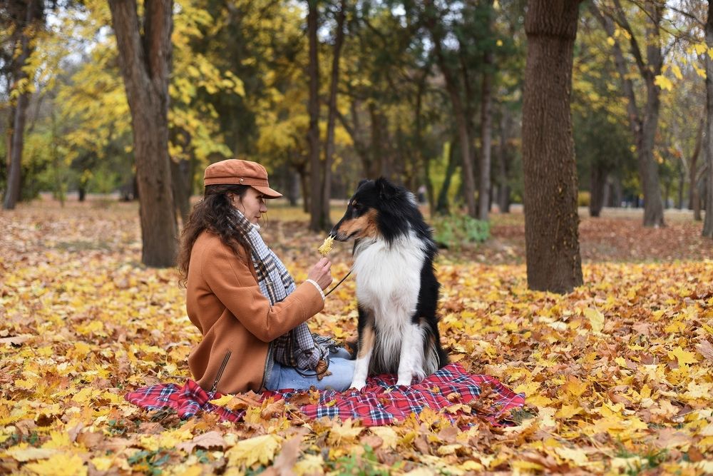 Photograph by Александр Волков
