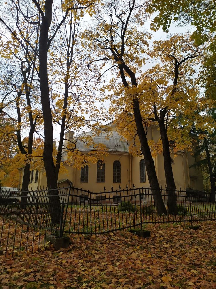 Осень в городе.
