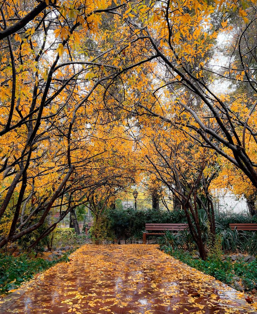 Photograph by roya razaghi