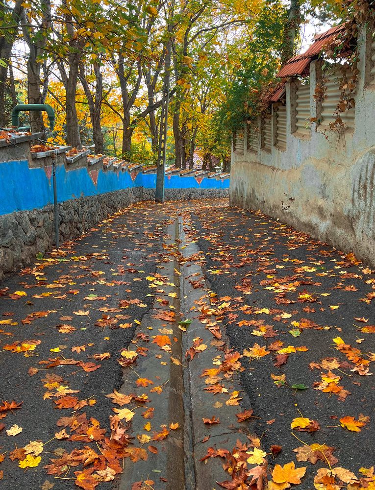 Photograph by roya razaghi