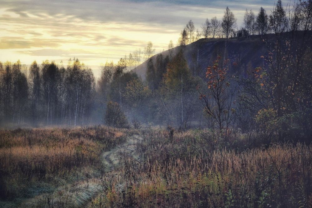 Photograph by Инна Карасева