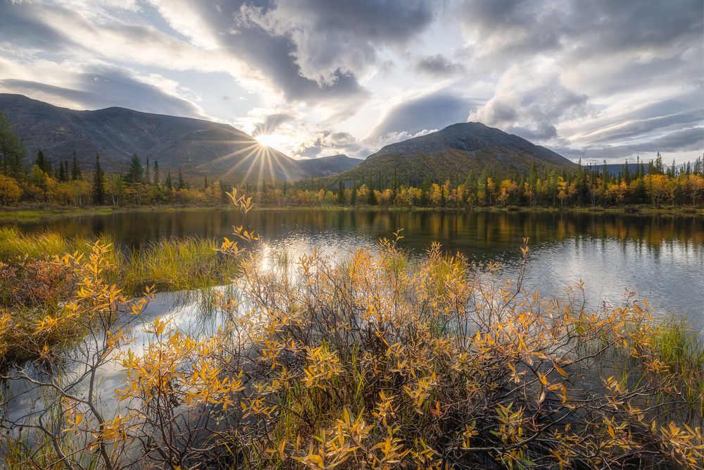 Солнца свет