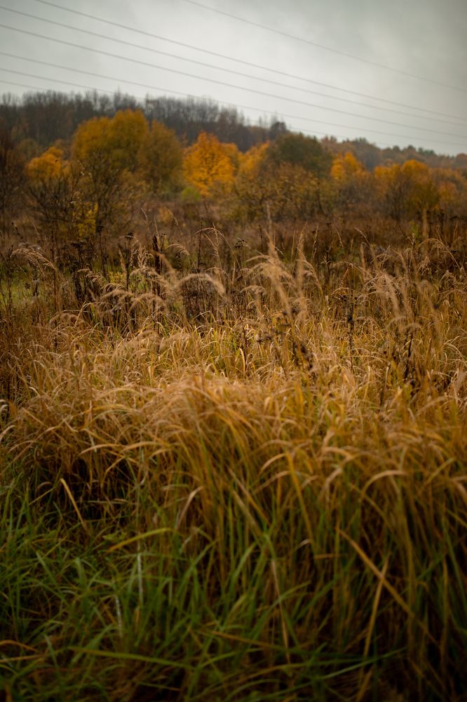 Photograph by Ольга Гаврилова