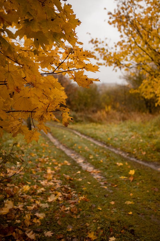 Photograph by Ольга Гаврилова