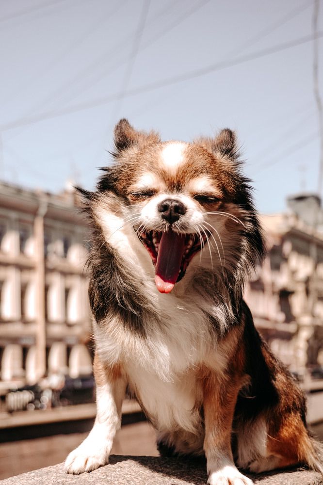 Photograph by Мария Кузнецова