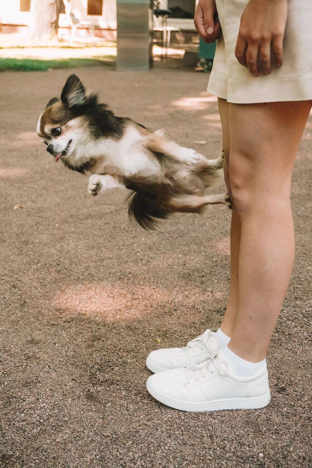 Photo #9711891