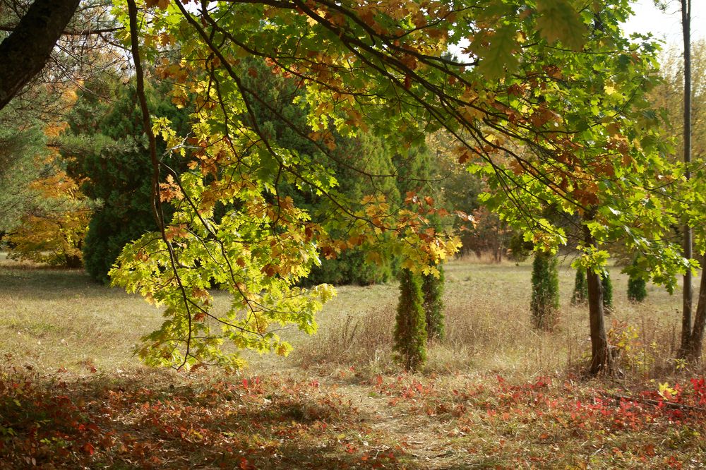 Photograph by Елизавета Можельская