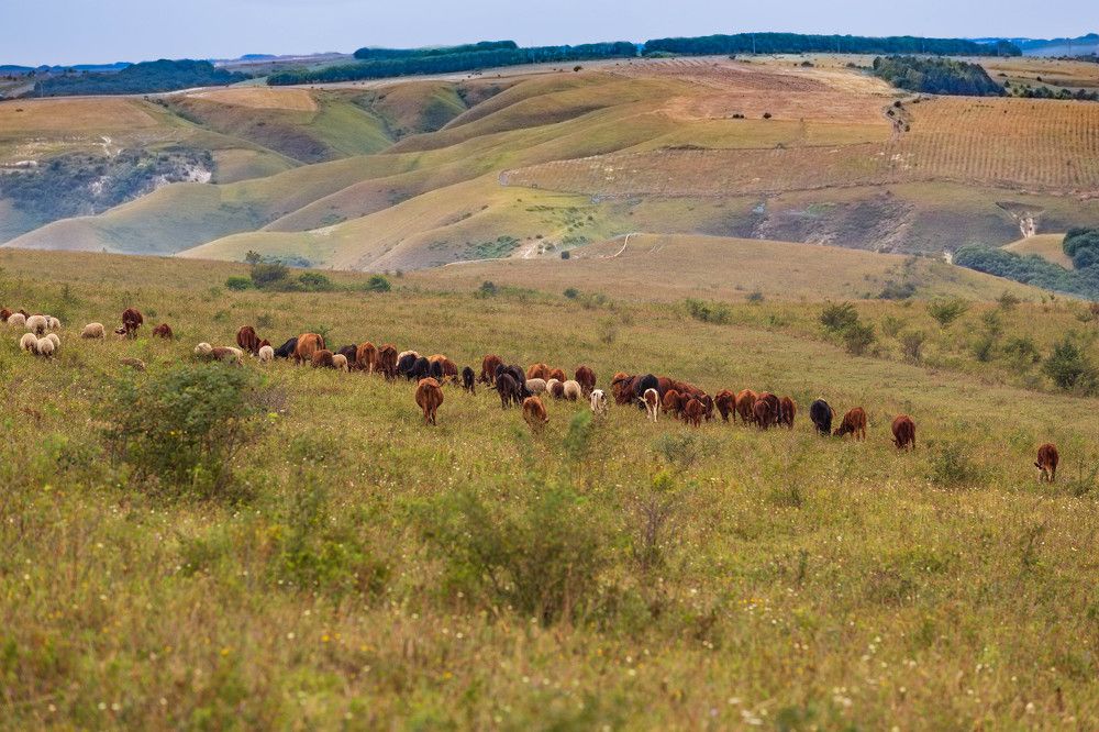 Photograph by Виталий Са