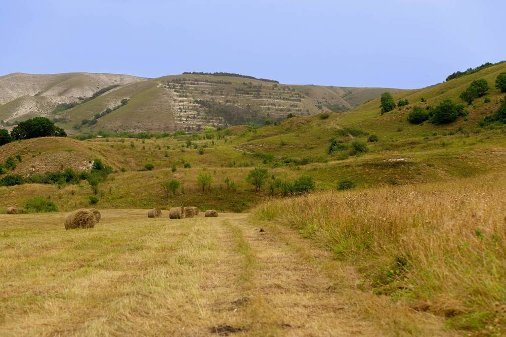 Photograph by Виталий Са