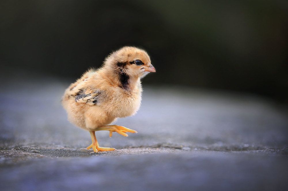 Photograph by Виктор Смирнов