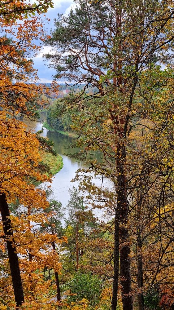 Photograph by Elena Tamošauskaite