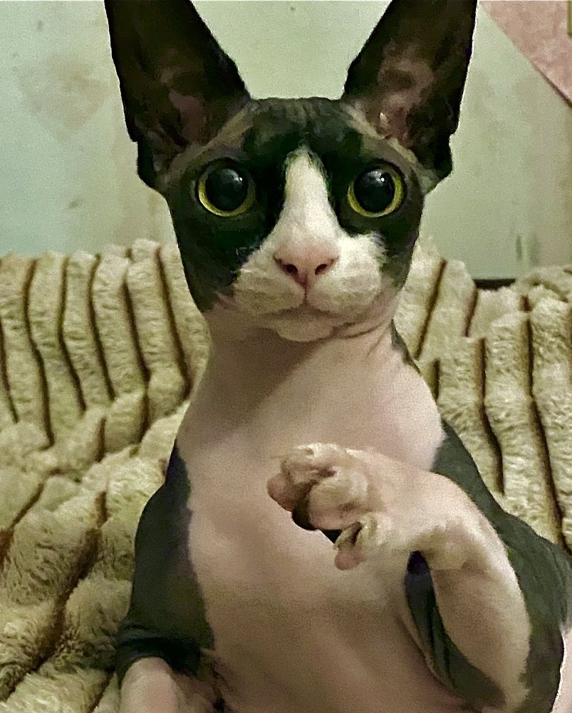 Фотография автора Алексей Новиков