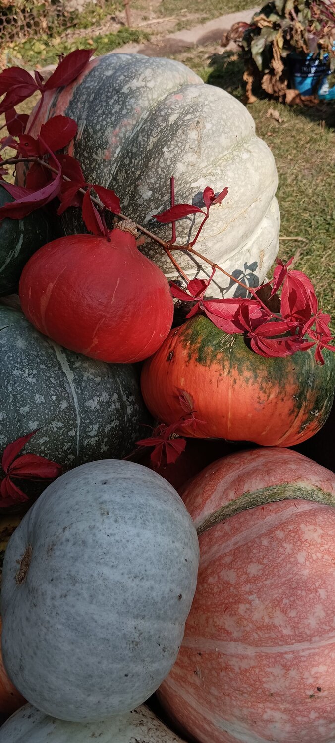 Photo #9711950