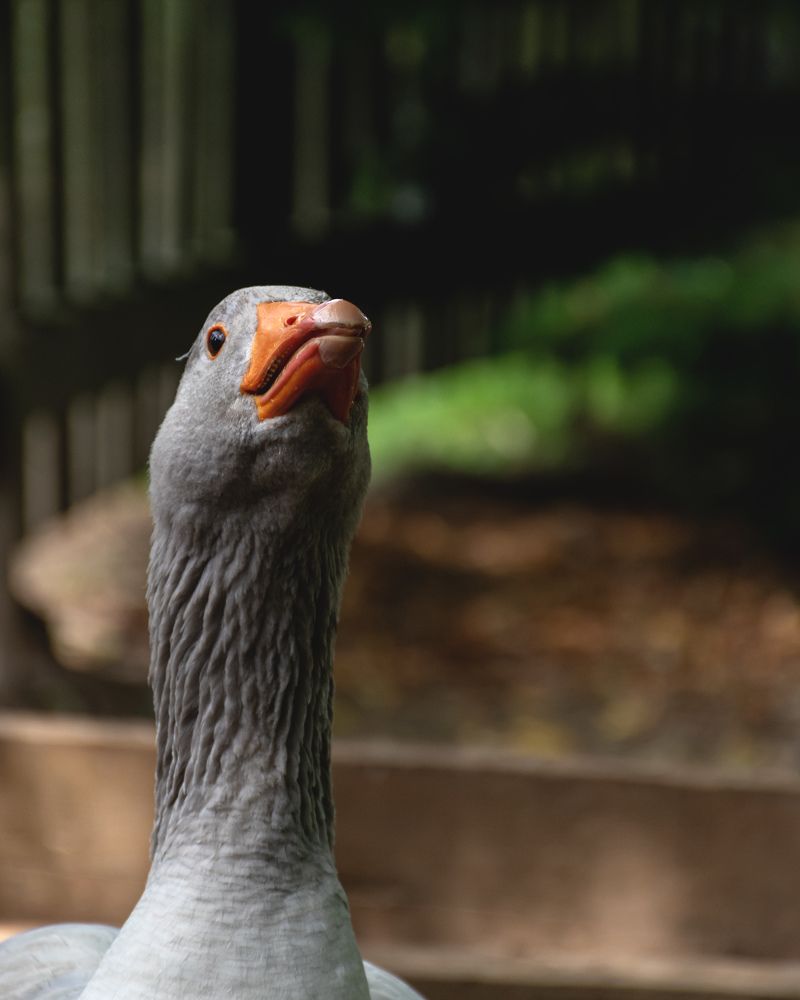 Photograph by Anton Leonchikov