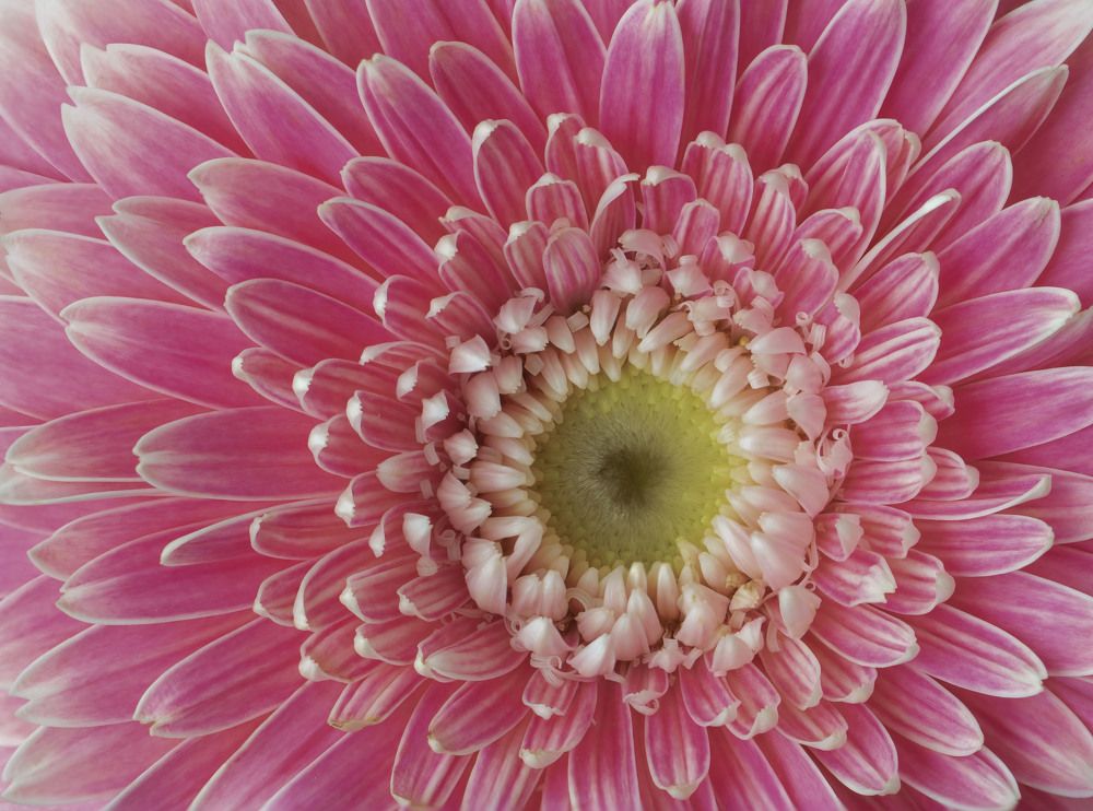 Photograph by Olga Bonina