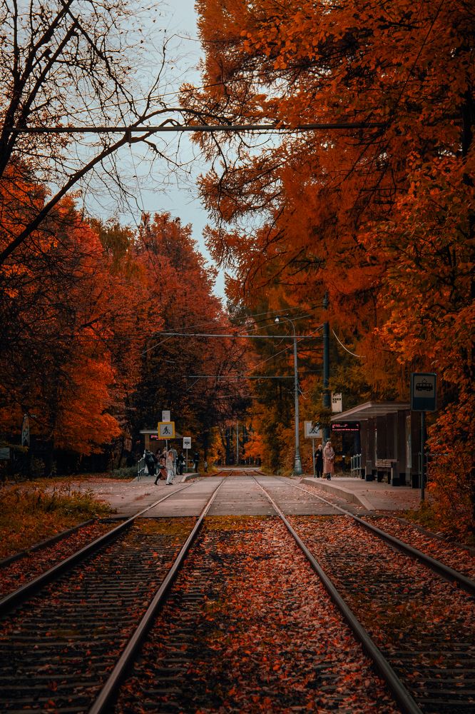 Photograph by Сергей Антонов