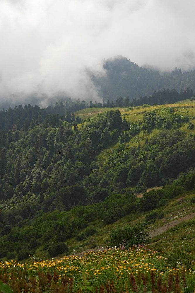 Photograph by Дмитрий Салов