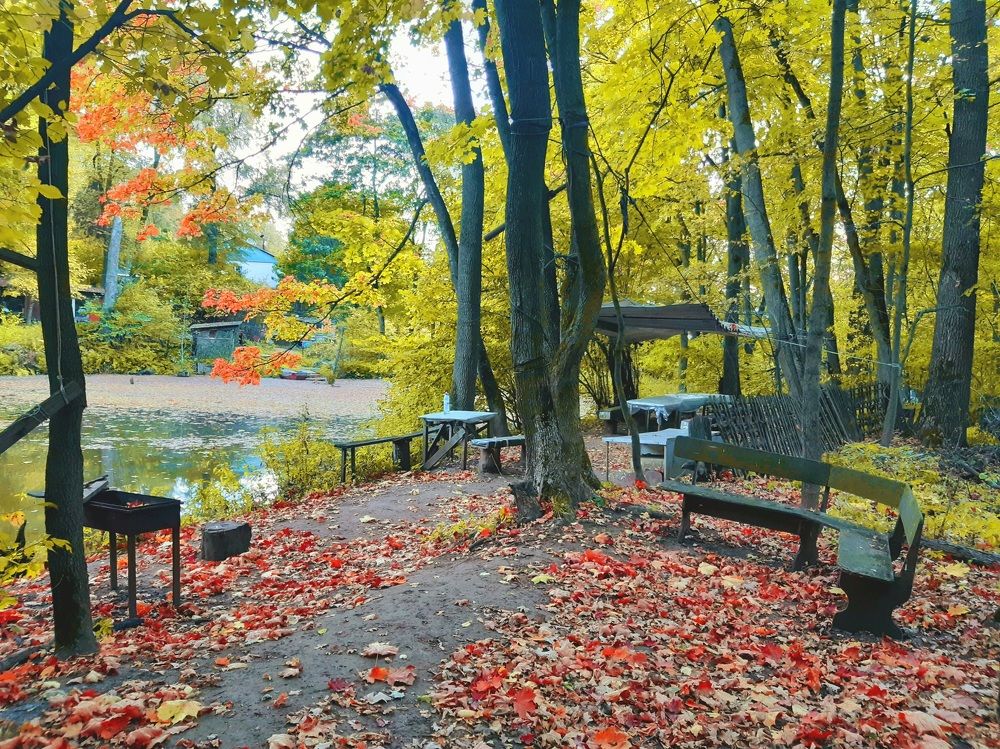 Photograph by Екатерина