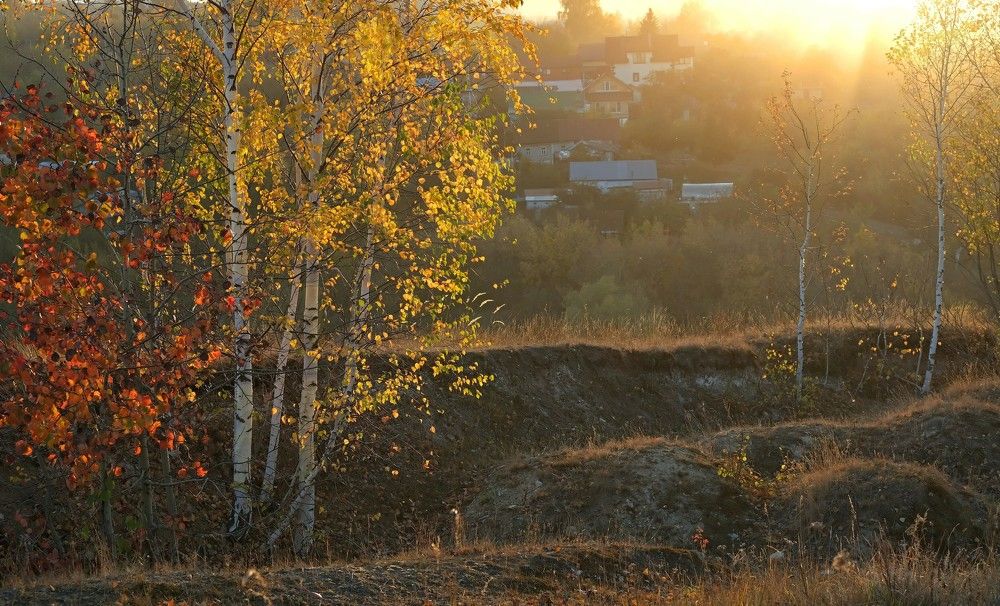 Photograph by Светлана Юрьевна Елагина