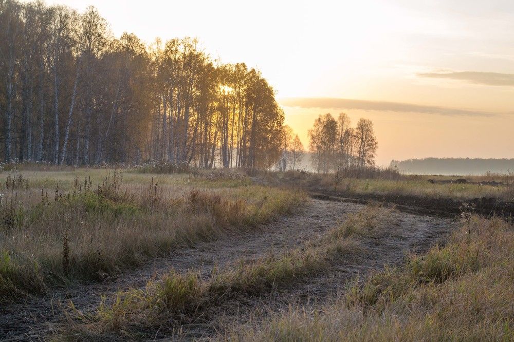 Photograph by Евгения Антропова