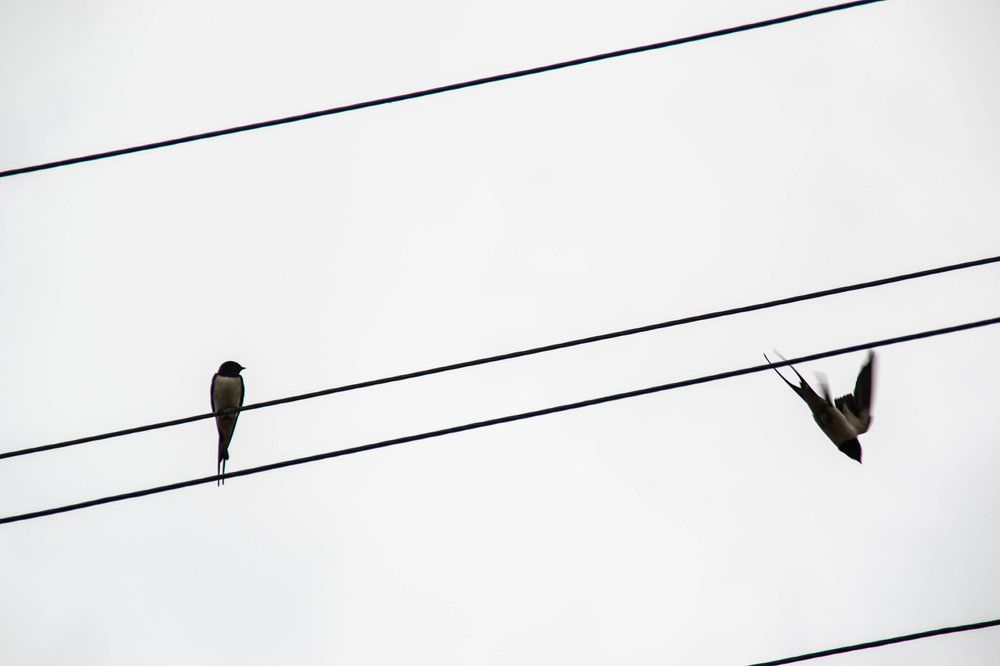 Фотография автора Юлия Кранина