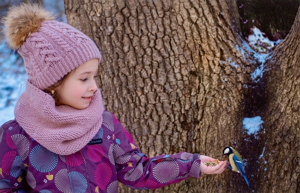 Фотография автора Олег Васильев