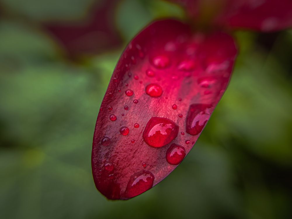 Photograph by Konstantin Martynov