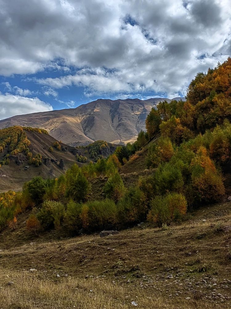 Photograph by Елена Пономарева