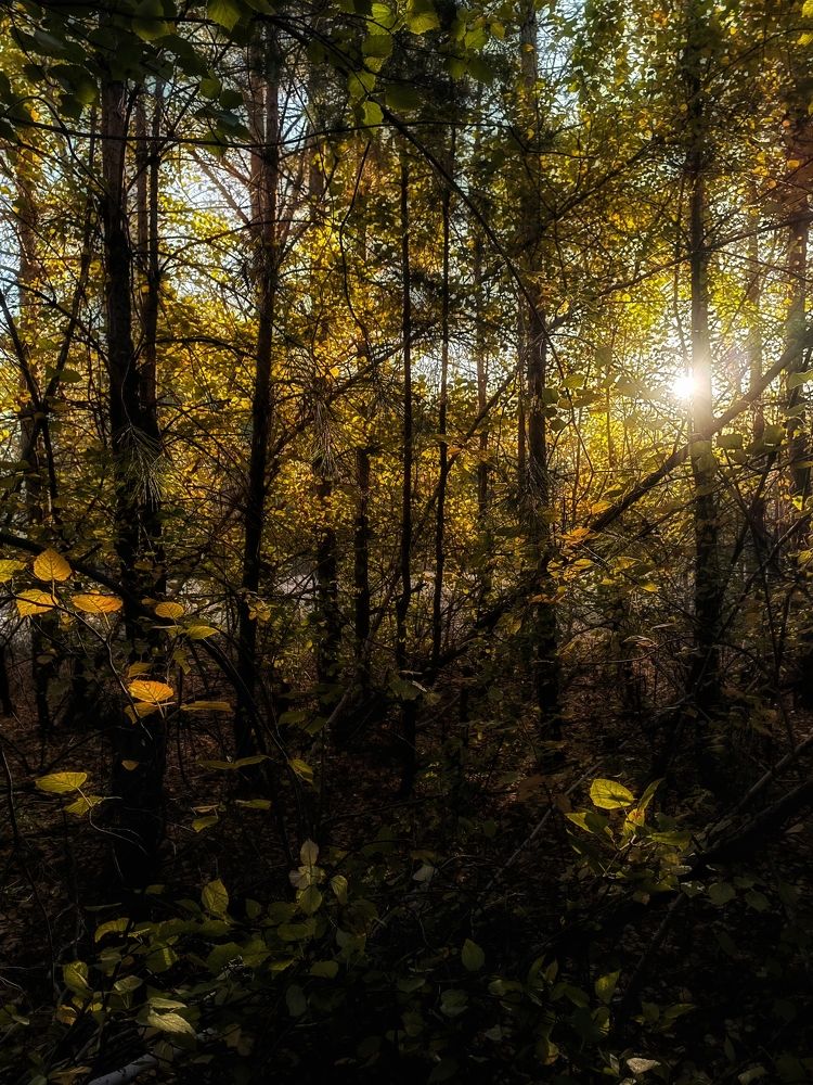 Photograph by Елена Пономарева