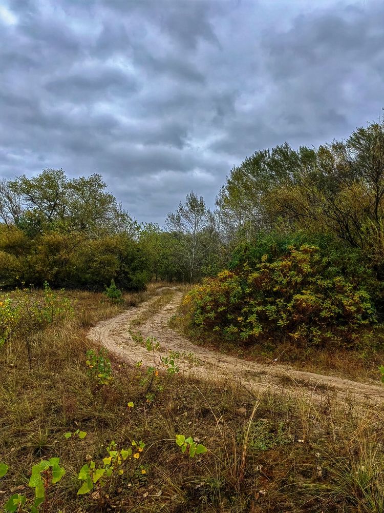 Photograph by Елена Пономарева