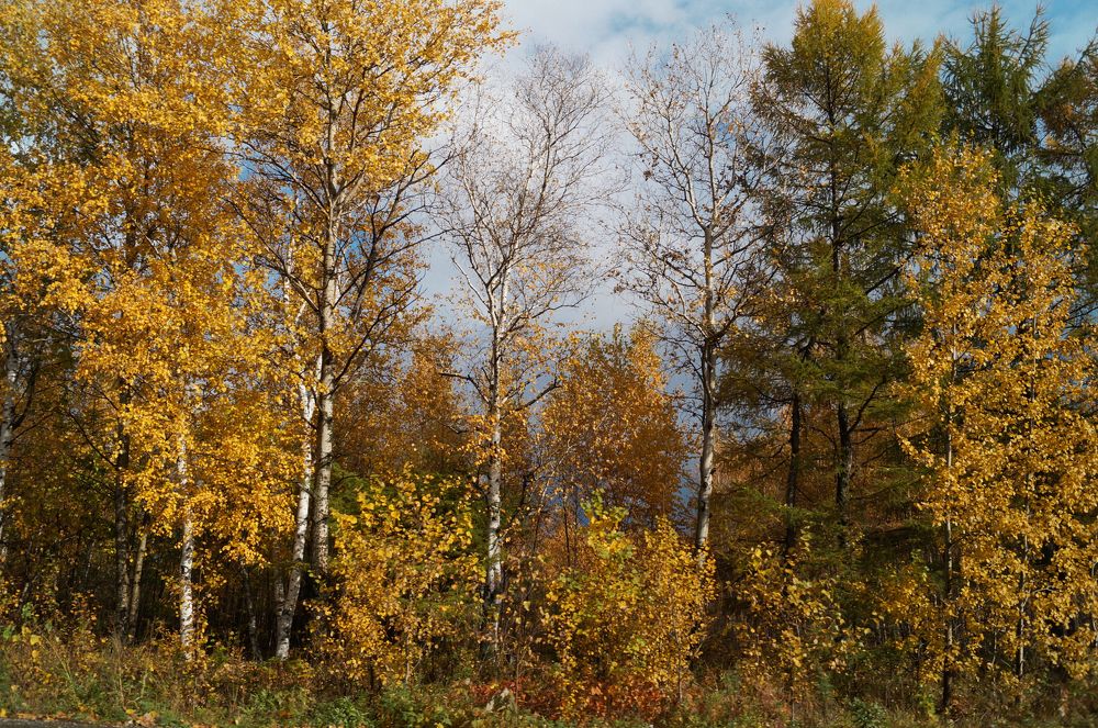 Photograph by Юлия Сахарова