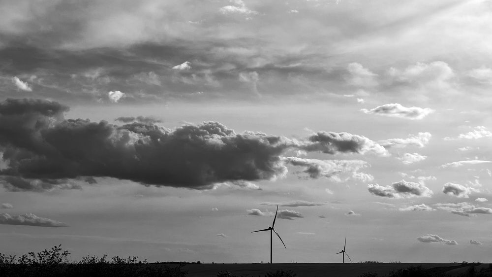 Photograph by Елизавета Осеева