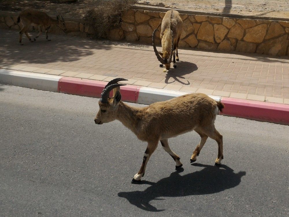 Photograph by Наталья Круглова