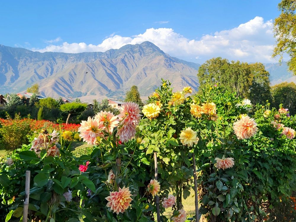 Photograph by Suvarna