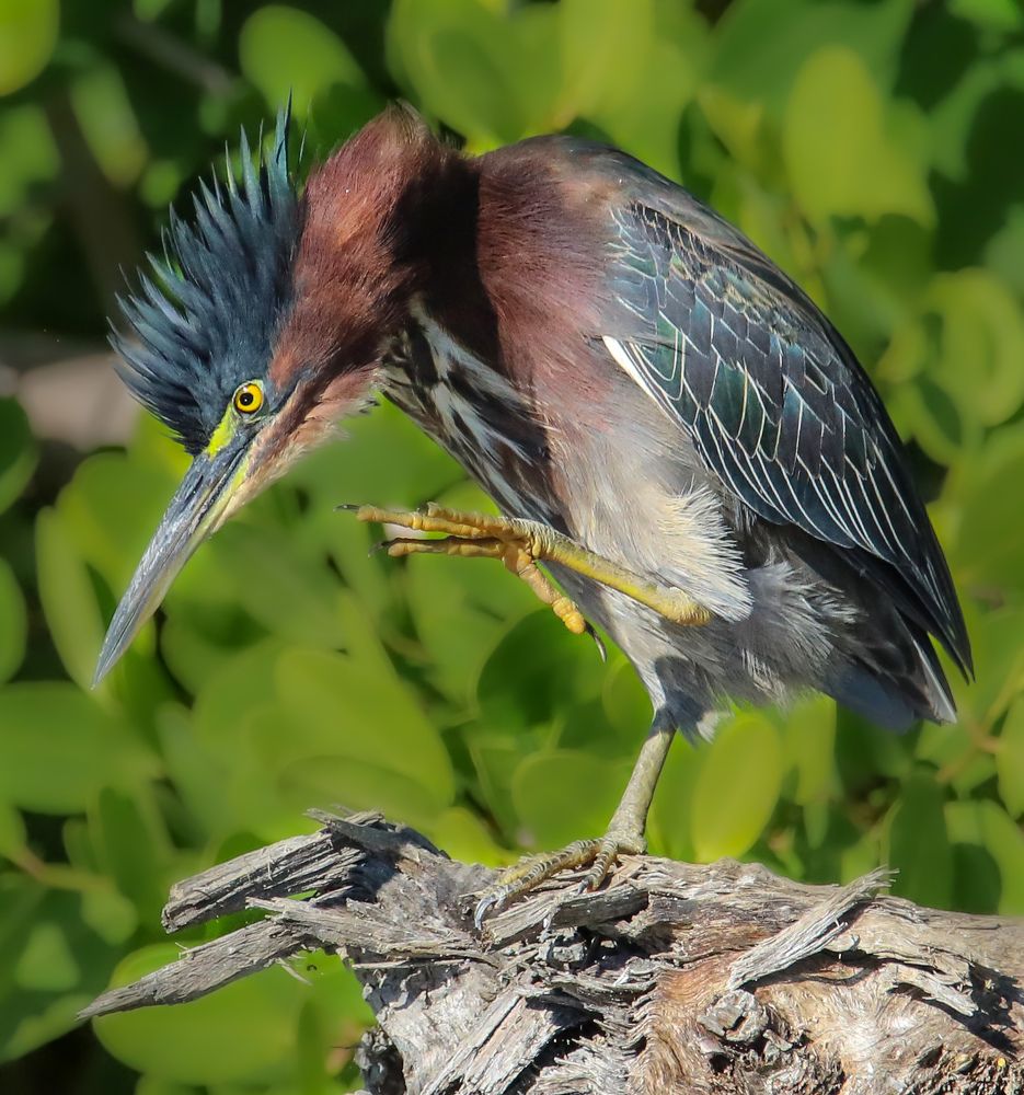 Photograph by Frank cobo blanco