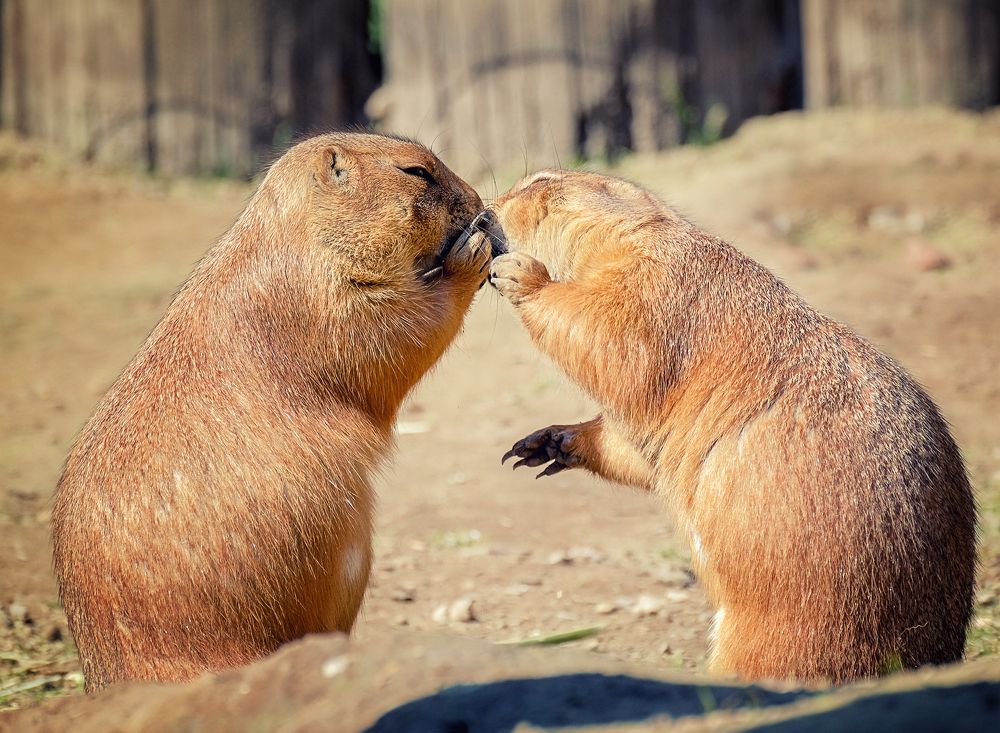 Photograph by Natalia Bolotenkova