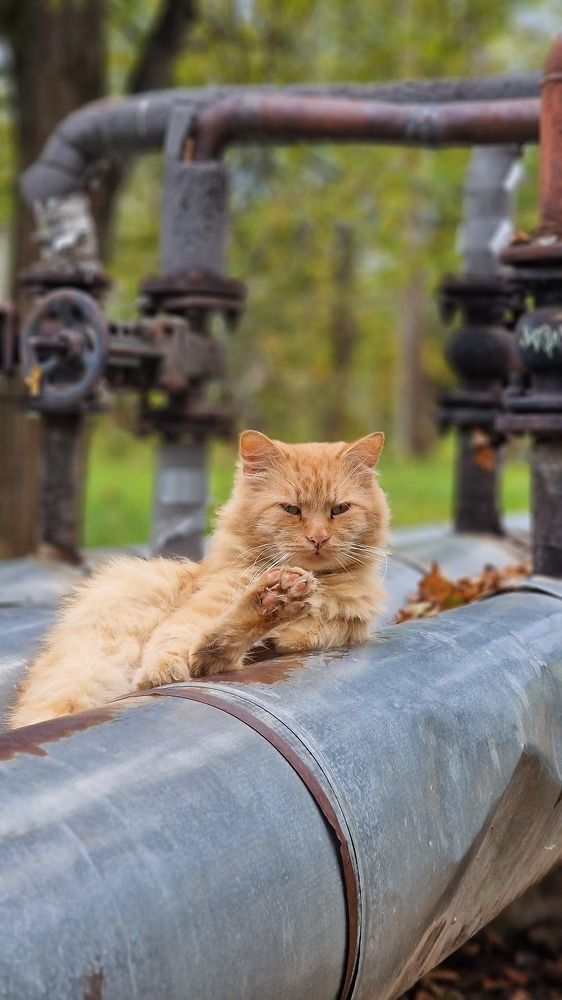 Photograph by Vera Vinogradova