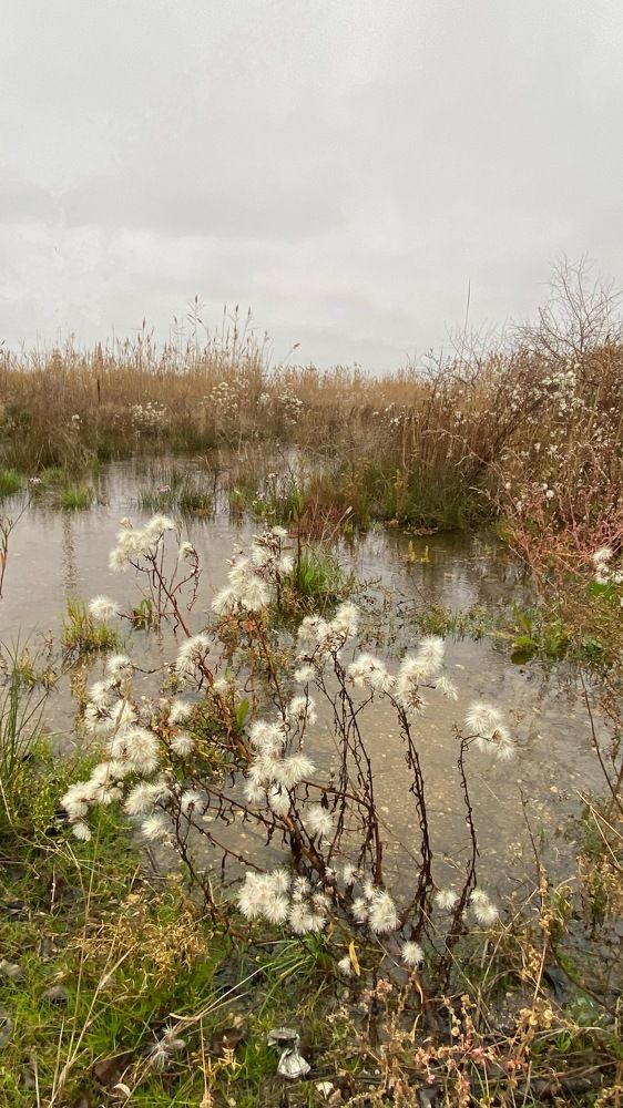 Photograph by Светлана Фесенко