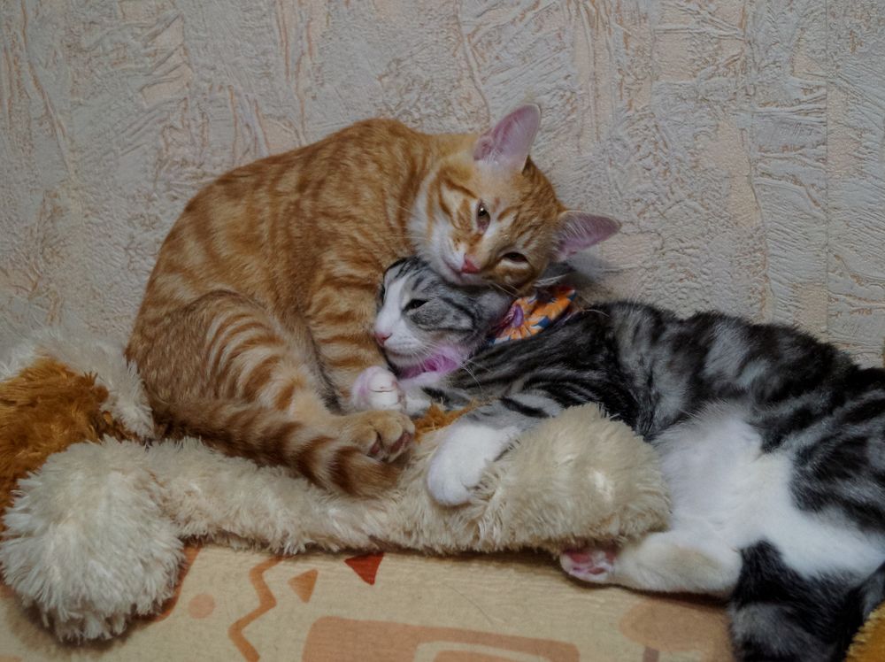 Photograph by Юлия Сахарова