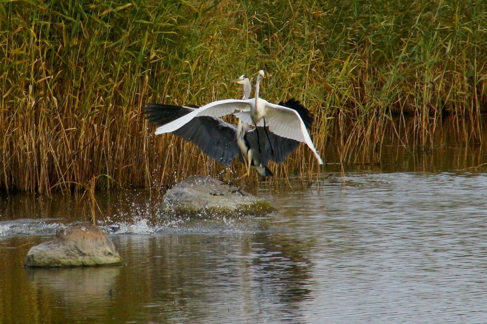 Фотография автора Евгений Филимонов