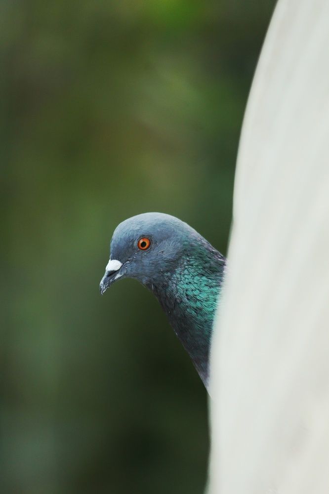 Photograph by Kapilesh Gujarathi