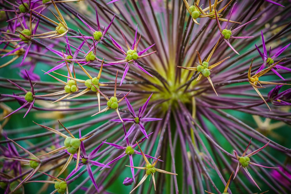 Photograph by Valdis Serzhans