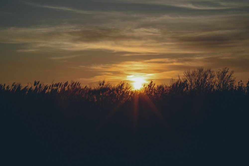 Photograph by Виктория Куликова